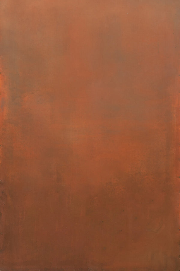 Clotstudio Abstract Orange Textured Hand Painted Canvas Backdrop #clot227