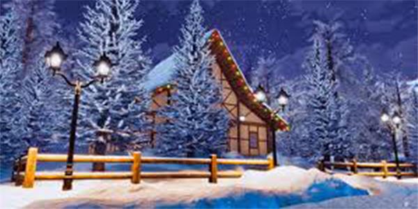 Clotstudio House in the Snow Large Size Stage Backdrop-4