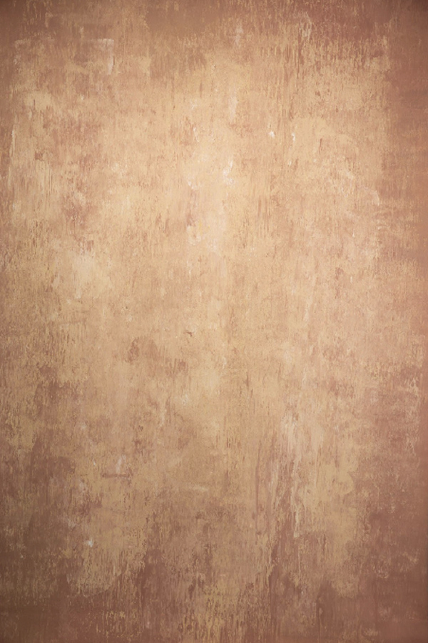 Clotstudio Abstract Light Brown Textured Hand Painted Canvas Backdrop #clot 57