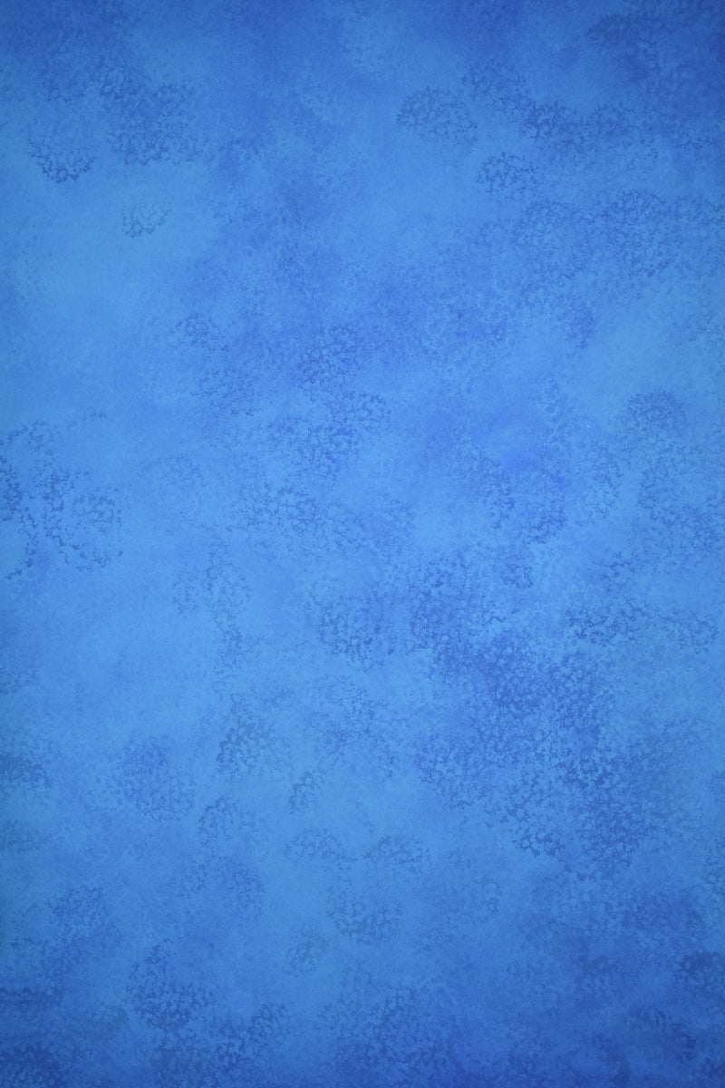 Clotstudio Abstract Royal Blue Texture Hand Painted Canvas Backdrop #clot 19