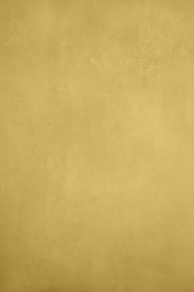 Clotstudio Abstract Bright Gold Textured Hand Painted Canvas Backdrop #clot 94